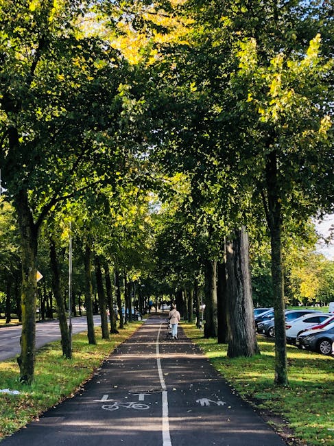 A tree-lined pavement during daylight hours, with tall deciduous trees on both sides creating a canopy of green leaves. The walking and cycling path is marked with white lines, including a bicycle lane symbol and a pedestrian symbol, running straight through the scene. The pathway is bordered by a grassy verge and a dedicated parking area filled with modern cars on the right side. A person dressed in neutral clothing is walking away in the distance, carrying a bag. The environment appears quiet and well-maintained, suitable for home relocation activities such as equipment transportation, packing, or moving logistics, with natural light filtering through the leafy branches. The scene exemplifies an accessible, organized route that could be used for planning efficient moving routes or client site visits for furniture transport by Man with Van Herne Hill.
